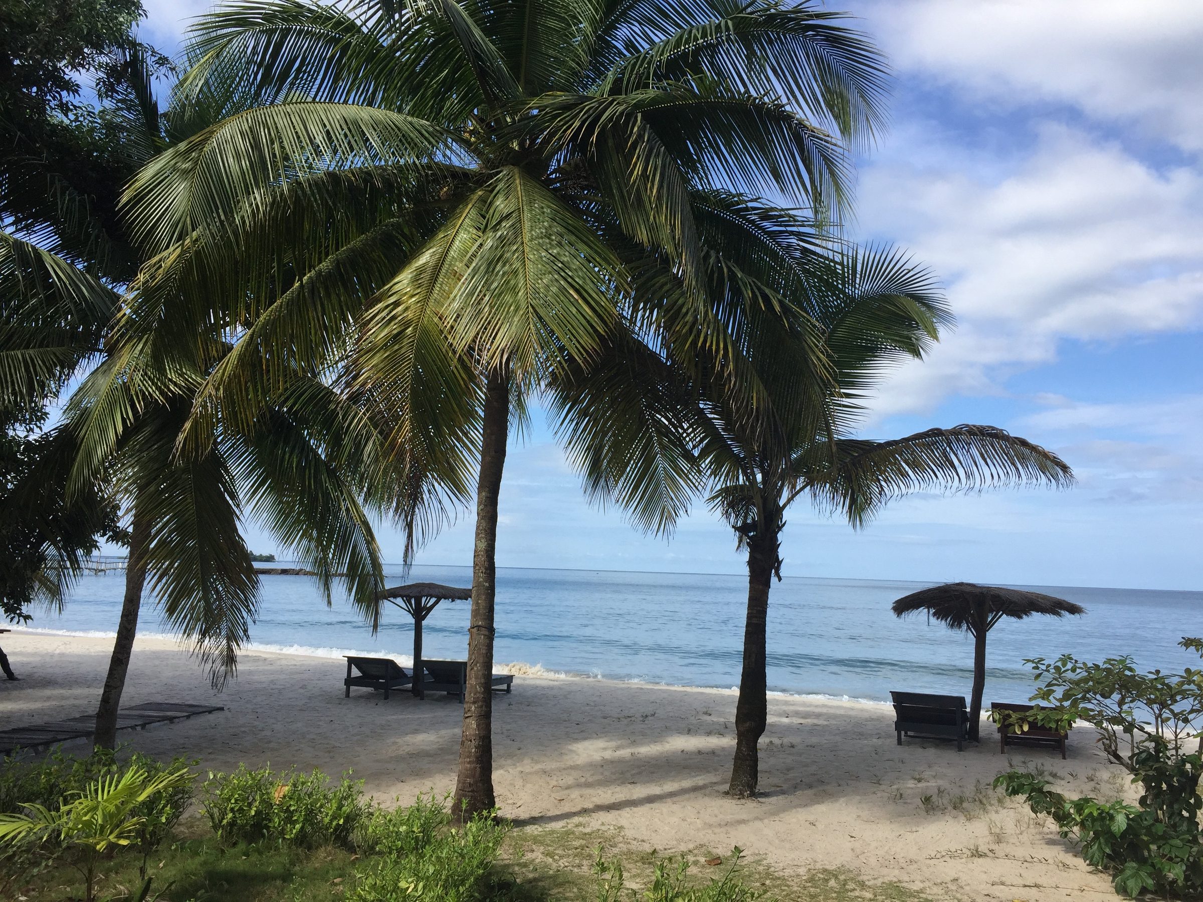 Remote Sierra Leone beach — representative of the Turtle Islands coastline