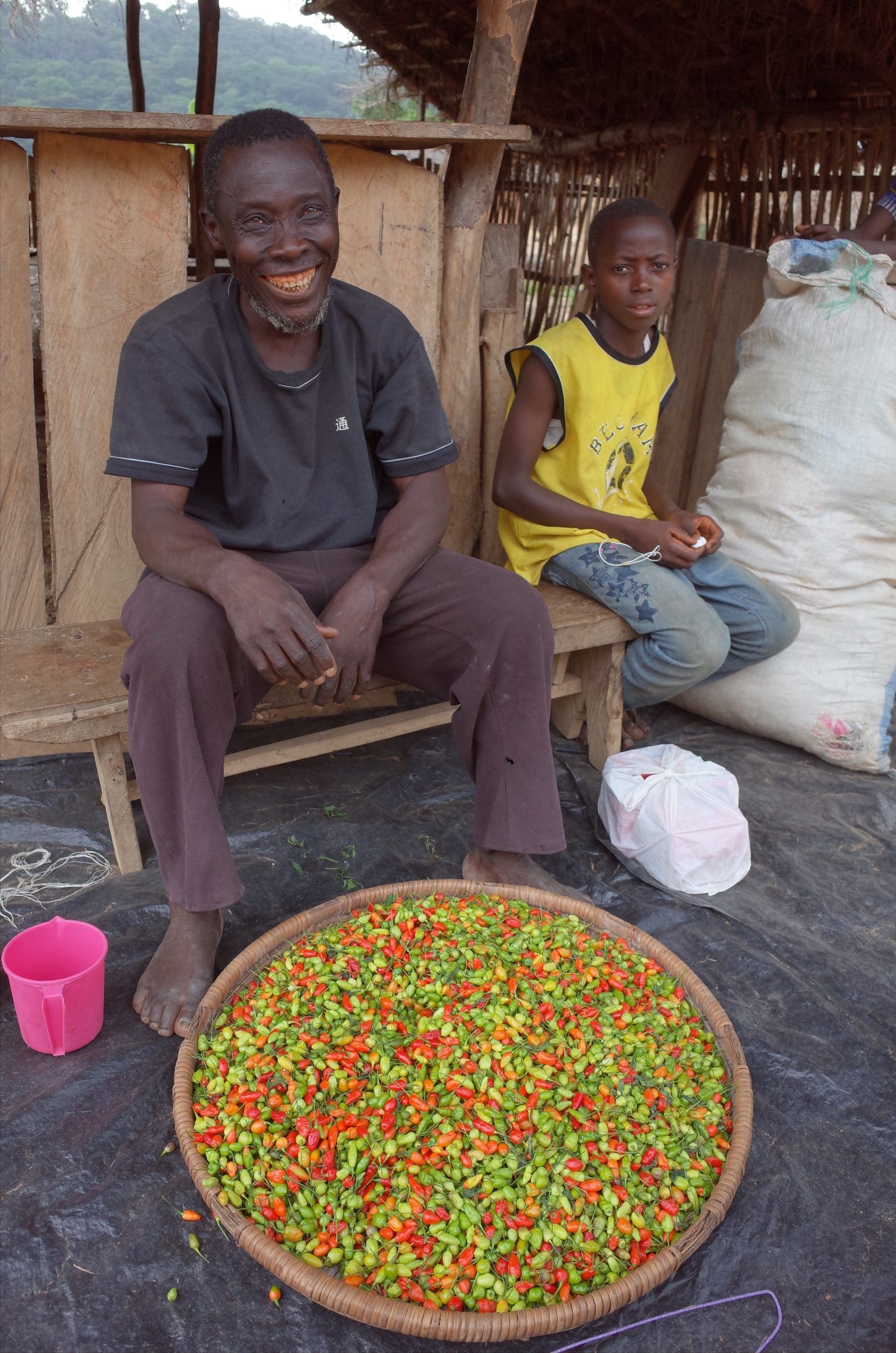 A market vendor selling peppers, Sierra Leone