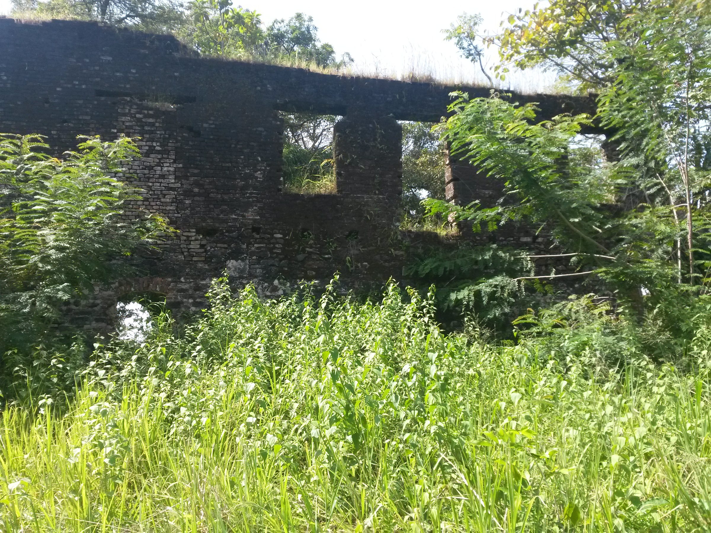 Fortress wall at Bunce Island on the Sierra Leone River